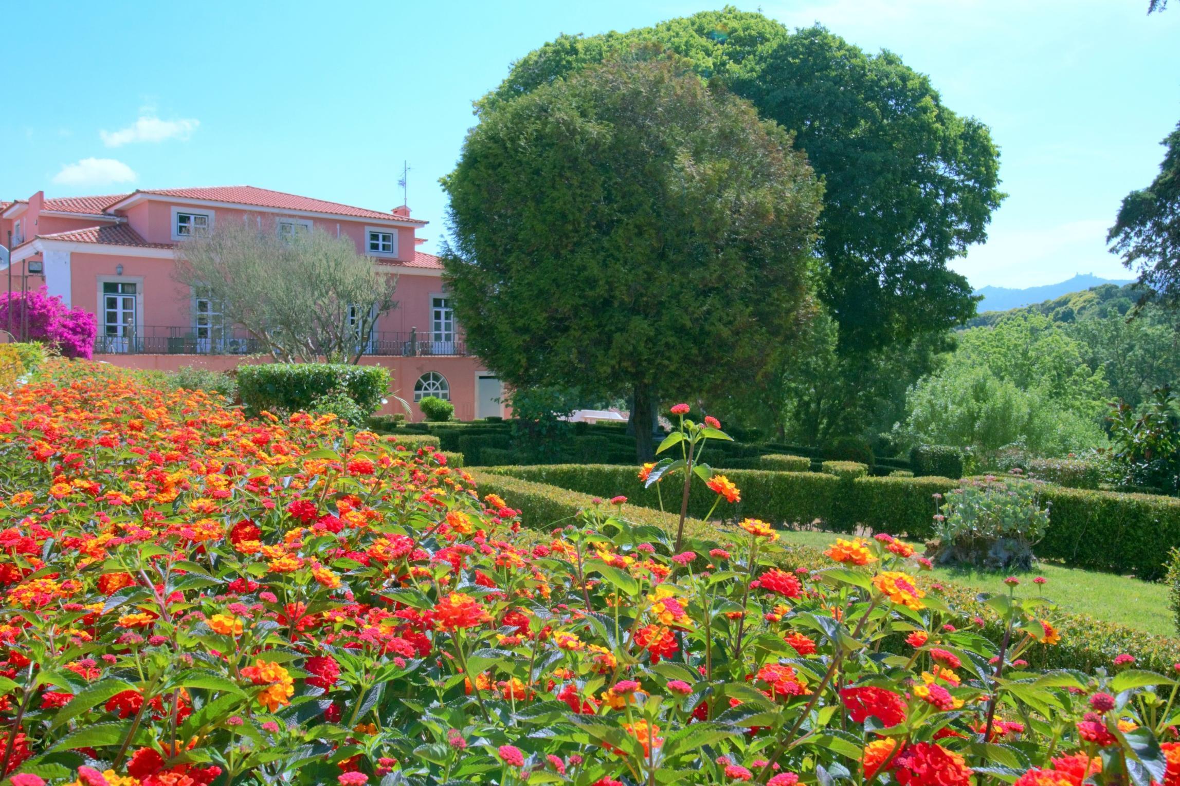 Wot Sintra Sarrazola Hotel Colares Luaran gambar